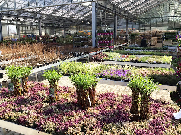 Uno dei segreti per guadagnare nella Floricoltura