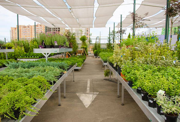 VASH-SAD, das neue Gartencenter in Odessa