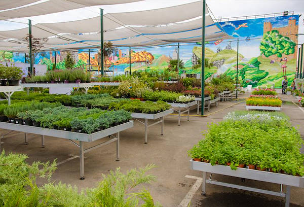 VASH SAD, il nuovo garden center ad Odessa