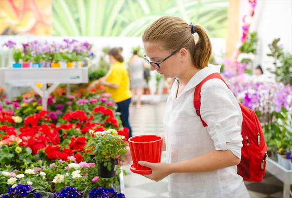 VASH SAD, il nuovo garden center ad Odessa