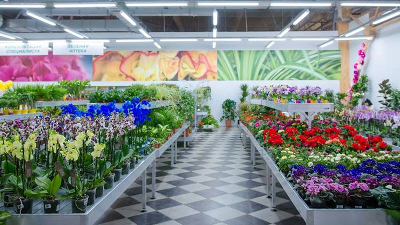VASH SAD, la nouvelle jardinerie à Odessa