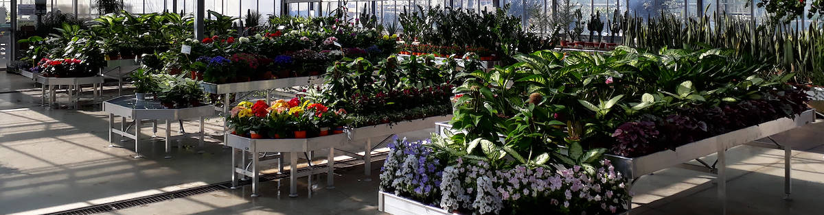 Die Maße der Verkaufstische und Displays