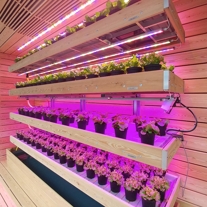 Vertical farming