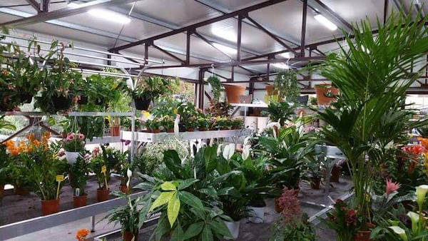 Vivai Etna, restyling dell'area interna