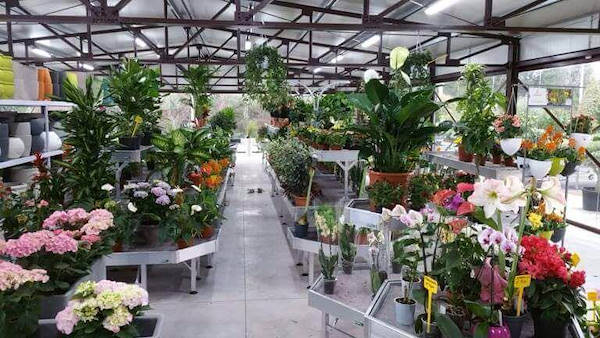 Vivai Etna, restyling dell'area interna
