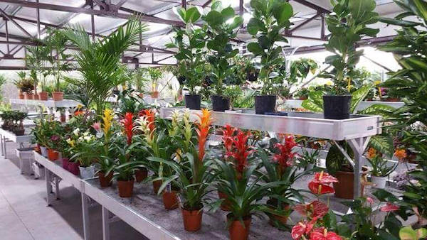Vivai Etna, restyling dell'area interna