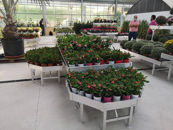 Viveros del Valle erneuert die Ausstellung von Pflanzen und Blumen