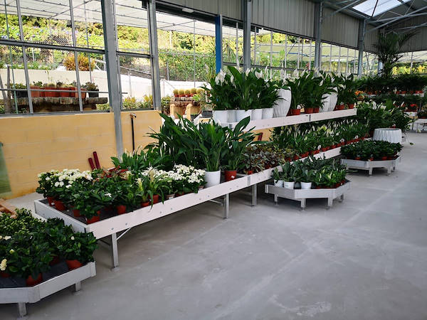 Viveros del Valle erneuert die Ausstellung von Pflanzen und Blumen