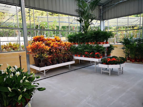 Viveros del Valle erneuert die Ausstellung von Pflanzen und Blumen