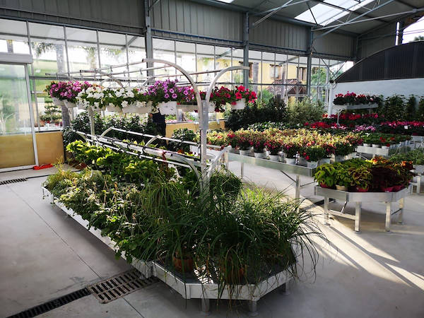 Viveros del Valle renouvelle l’exposition de plantes et de fleurs