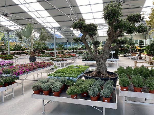 Viveros del Valle renueva la exposición de plantas y flores