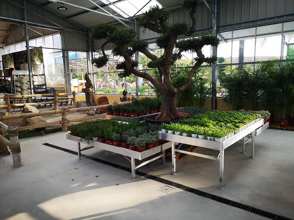 Viveros del Valle renueva la exposición de plantas y flores