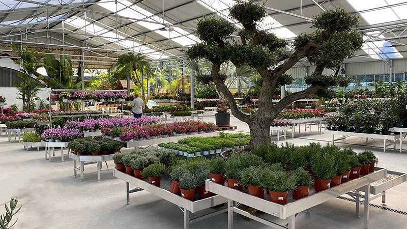 Viveros del Valle erneuert die Ausstellung von Pflanzen und Blumen