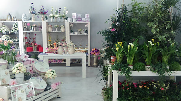 Vrtlarija Saric, un nouveau point de vente des plantes et fleurs à Livno
