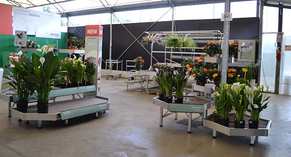Welcome to our new showroom! 