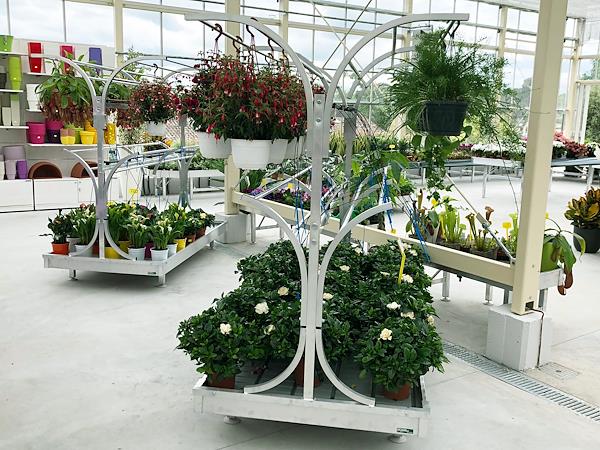 Chiringuito espositore per piante in basket