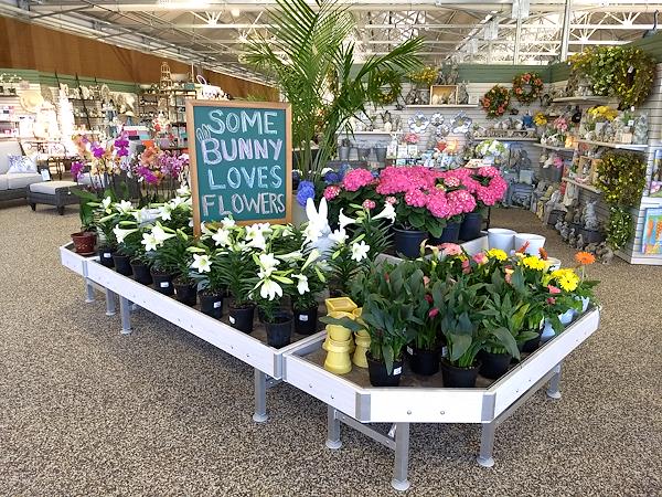 End Cap Linea Legno AMOR