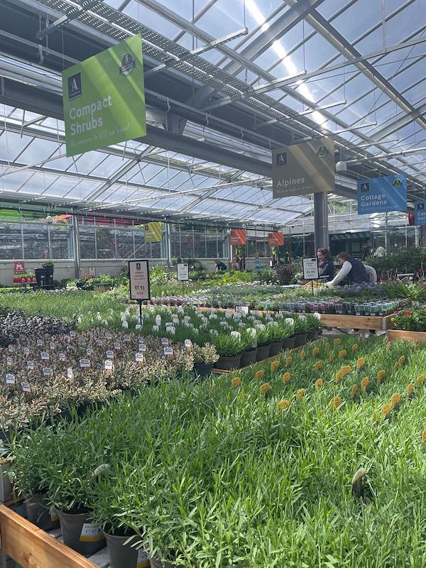 Caricamento massivo 2025-09-25 / 10