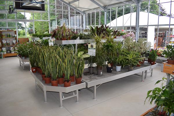 Caricamento massivo 2025-09-25 / 12