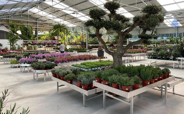 Caricamento massivo 2025-09-25 / 45