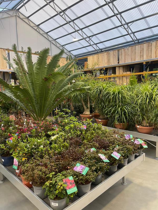 Caricamento massivo 2025-09-25 / 51