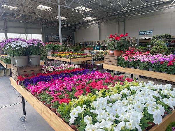 Caricamento massivo 2025-09-25 / 58