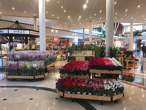 End Cap Linea AMOR Personalizzato
